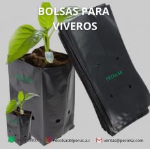 BOLSA PARA ALMACIGO